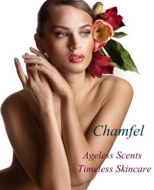 www.civilizationsbychamfel.com