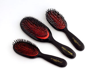angelo-david-brushes