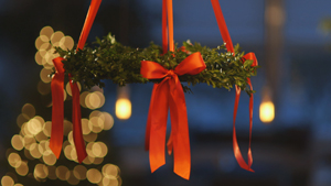 lingonberry-wreath