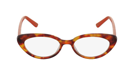 flutter-ayn-orange-tortoise