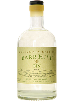 gin-256x350