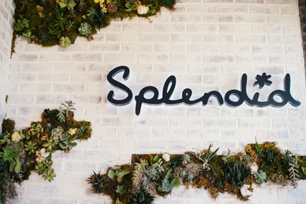 Splendid-Living-Wall2-(1)