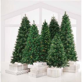 trees