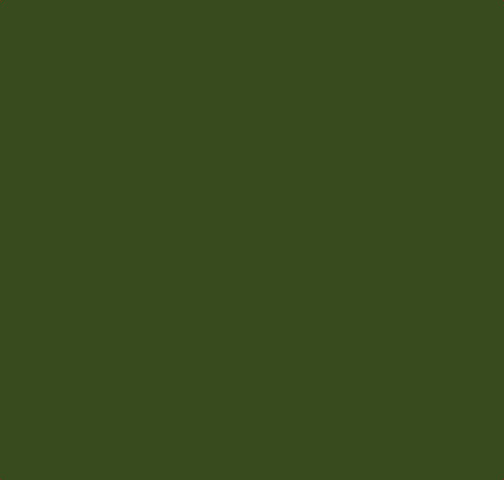 Olive-Green-(Emma-Stone)