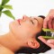 Learn the 6 Benefits to Aloe Vera for Skin + Hair! Amelia Robert, Guest Blogger!
