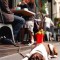 Guest Contributor, Naomi Shaw Shares 6 Great Places to Dine with Your Pup!