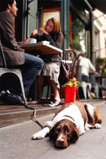 dining-spots-dogs