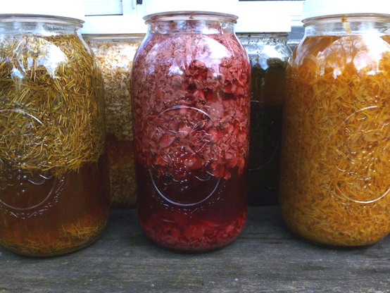 ACV-phoot