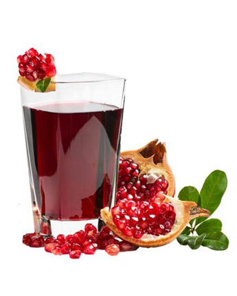 Pomegranate-Mimosa-450x563