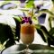 Oops! I Missed National Rum Day (*8/16)! Making Up for Lost Time!
