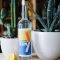 Focus on the FUTURE During Memorial Weekend! Celebrate with Future Gin Gone Blue!!