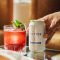 The Perfect Cocktail for Summer: Try This Tasty Cocktail Recipe from Suntory FREE! It’s an Alcohol Free Summer Sip!