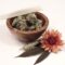 Contributor Nancy Fernandez Shares “5 Reasons CBD Helps With Stress and Anxiety”!