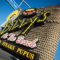 Cheer on Your Team With the Billy’s at the Beach Halftime Aloha Kit!!