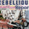 The Rebellious Beverages  Give You Great Value: Lots of Antioxidants moderate levels of or ZERO Caffeine.