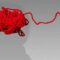 Axios.com Talks about an Anti-Dementia Lifestyle, Including Activities!