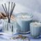 Celebrate National Wellness Month with NEST New York.  3 Different Fragrance Blends!