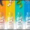 Are Nootropics a “Noo” Enhancement for Consumers to Elevate Their Game? Try These NooTropic Beverages!