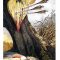 Tarot for Day 6: (4/22/17) What Insights  Are Found in Today’s Card?  It Takes Patience!