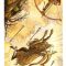 Tarot for Day 5 (7/7/17): TGIF  + How Does the Reversed Card Affect  Things?