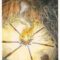 Tarot for Day 2 (6/28/2016) What’s the Message in Today’s Card? Lisa Greenfield Shares!