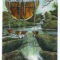 What does the Tarot  for Day 5 Mean? (5/20/16) Insight From Lisa Greenfield