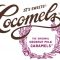 Getting Sweet on Caramels with a Twist: JJ Sweets Coconut Milk Caramels!