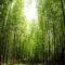 Talking about  Raising Awareness & Consciousness:  Fred Tracy’s “Levels of Consciousness” Essay