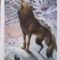 Tarot for Day 7 (9/11/2016):  How Is Mercury Retrograde Affecting  You + Today’s Card?
