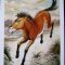 Tarot Card for Day 5: What Should I Expect from Day 5?  Lisa Greenfield Has the Scoop!