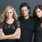 Abe Gurko Talks About the Benefits of Collagen for Your Hair!