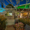 Fun Restaurants  to Check Out for Mother’s Day + More: Cafe Vida;  Manchego and Bulgarini Gelato!
