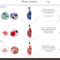 B’lure + Wild Hibiscus Create Phenom Drinks! 12 Drinks of Christmas Day 13. #bonus