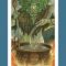 Tarot Card for Day 7: Contest & a Deal!  Lisa Greenfield Shares Meaning of Tarot Card #7