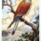 Tarot for Day 7, 10/2/2016! How’s Your Week Turned Out?