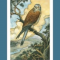 Lisa Greenfield Shares Tarot of the Week  (12/21-12/27)+ of the Day #guestblog