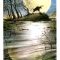 Tarot for Day 4 (6/29/17) What’s the Meaning of Today’s Card?  Lisa Greenfield Explains!