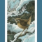 Tarot for Day 2 (April 12, 2016) Get the Scoop From Lisa Greenfield, Guest Blogger