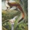 Tarot for Day 5! 2/10/2017.  Insights on a Lunar Eclipse  and Today’s Card from Lisa Greenfield!