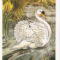 Tarot for Day 3! What’s Hot with Today’s Card–Queen of Arrows? Get the Insights!