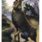 Tarot for Day 7 (11/12/2017) Today’s Card Talks about Trusting Your Intuition!