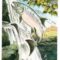 Tarot for Day 6: A Bumpy Ride Is on the Horizon- But Resolves Well in the End!