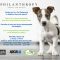 Help a Rescue at  n: PHILANTHROPY Pet Pampering & Adoption Day with spcaLA  Sat, 8/29!