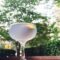 July 24 is National Tequila Day: Recipes for  Great Tequila-Based Cocktails!